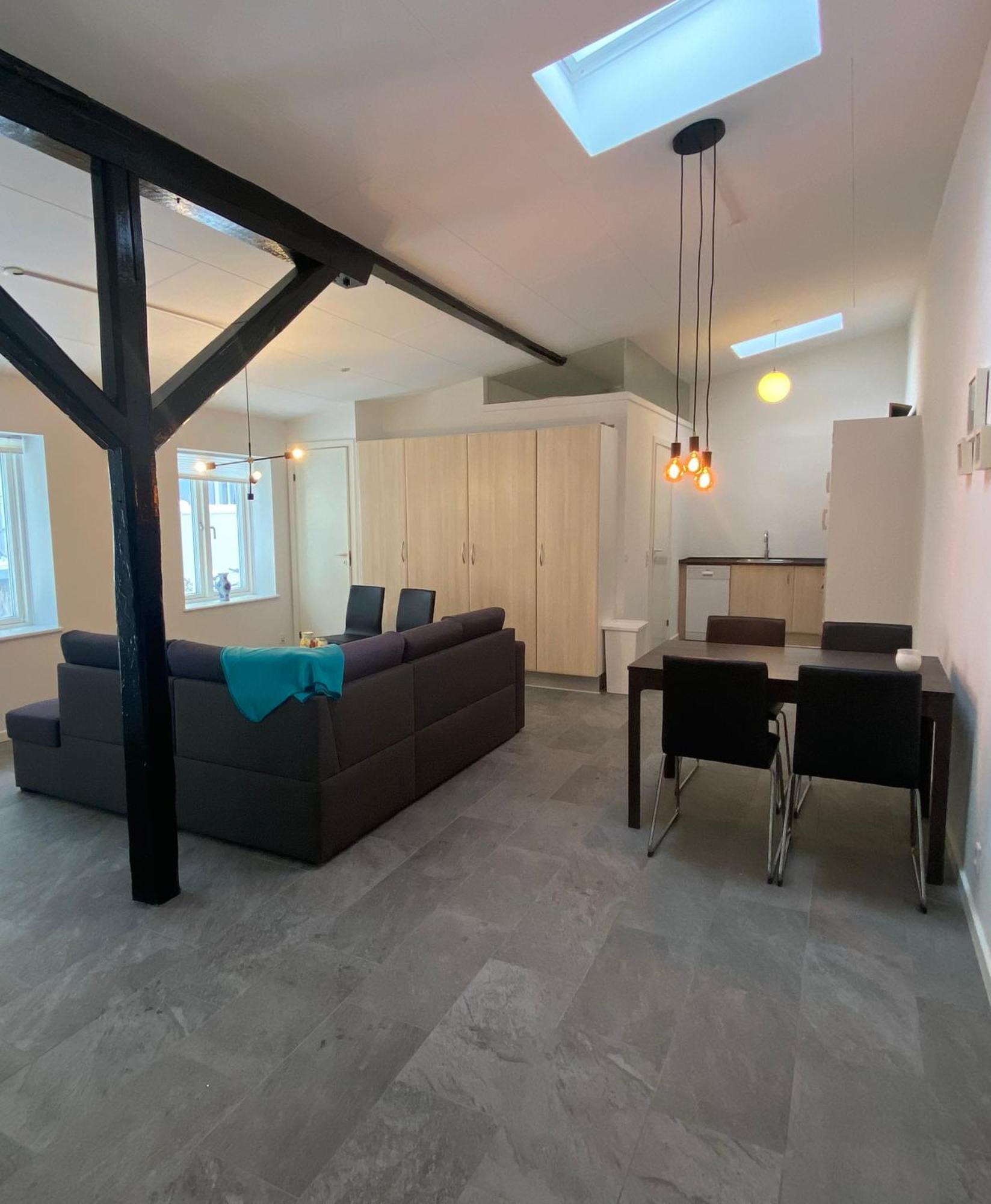 Charming - Luxurious 1 Bedroom Apartment In The Heart Of Aalborg Exteriér fotografie